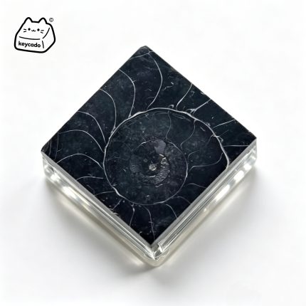 Carbonized Ammonite Fossil Artisan Keycap, Natural Mineral Handmade Unique Stone Keycap Compatible With Cherry MX Gateron Kailh All MX Mechanical Keyboard Switches