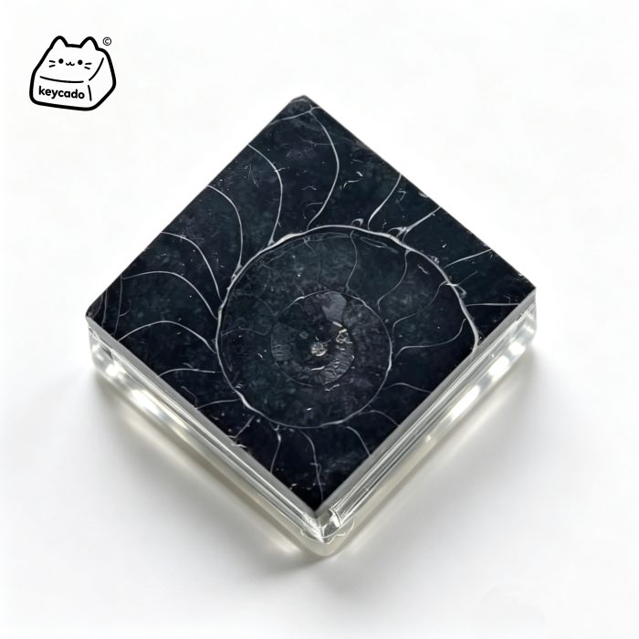 Carbonized Ammonite Fossil Artisan Keycap, Natural Mineral Handmade Unique Stone Keycap Compatible With Cherry MX Gateron Kailh All MX Mechanical Keyboard Switches