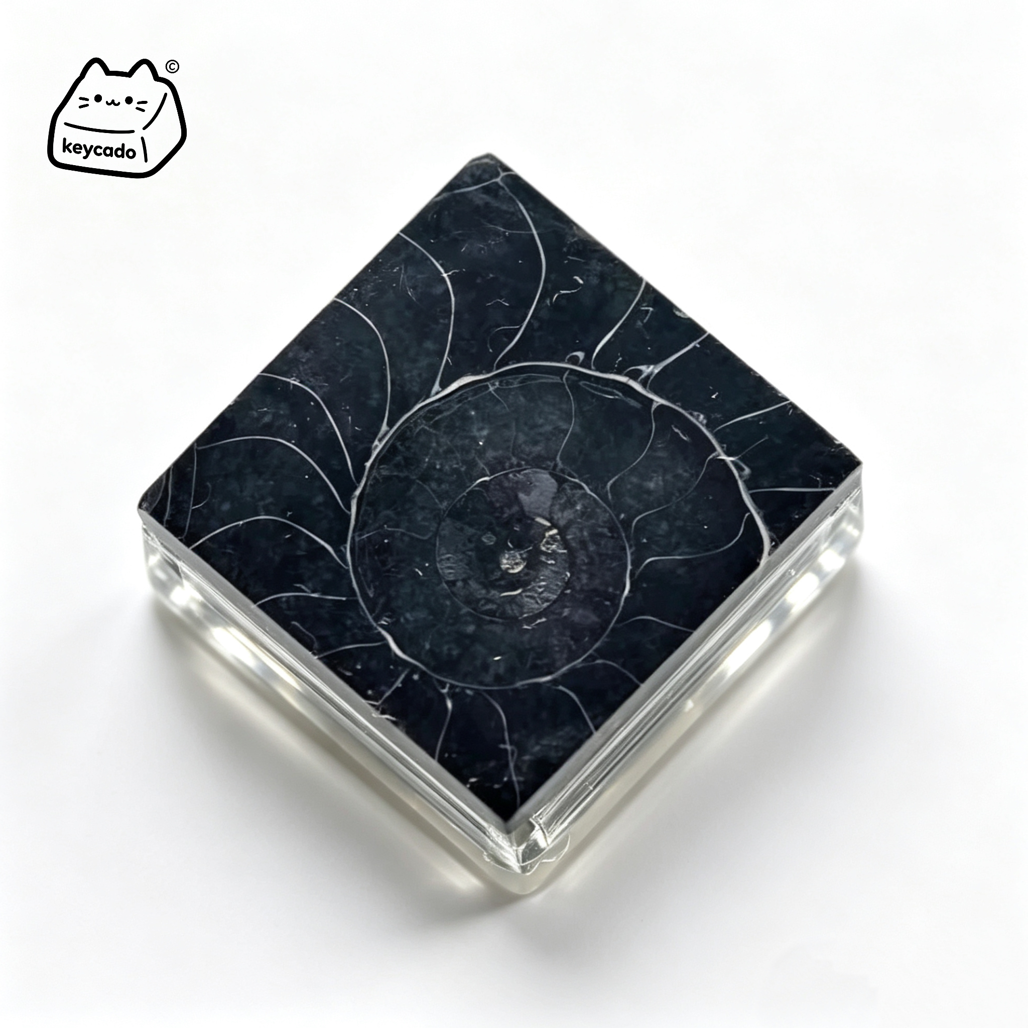 Carbonized Ammonite Fossil Artisan Keycap, Natural Mineral Handmade Unique Stone Keycap Compatible With Cherry MX Gateron Kailh All MX Mechanical Keyboard Switches - Image 1